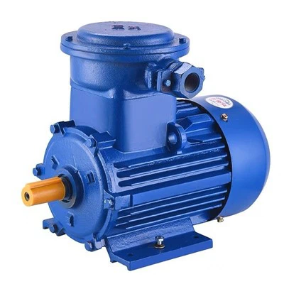Dust Explosion-Proof Certified Motor