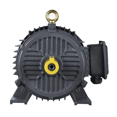 Energy-Saving High-Torque Compact Motor